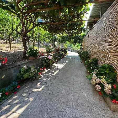 Maison d'hôtes La Natura - 4 Guests Sorrente